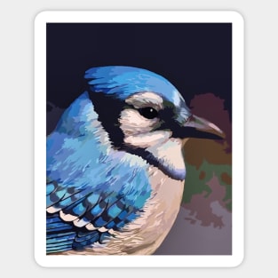 Blue Jay Sticker